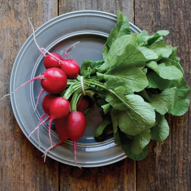 CRUNCHY CRIMSON-RADISH