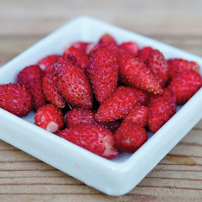 ITALIAN ALPINE-STRAWBERRY