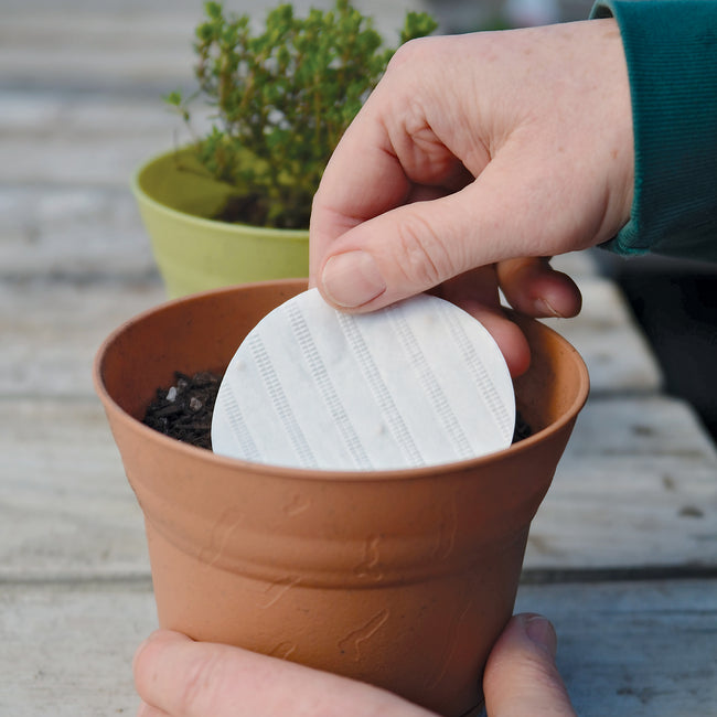 HERB DISK COLLECTION-MIX