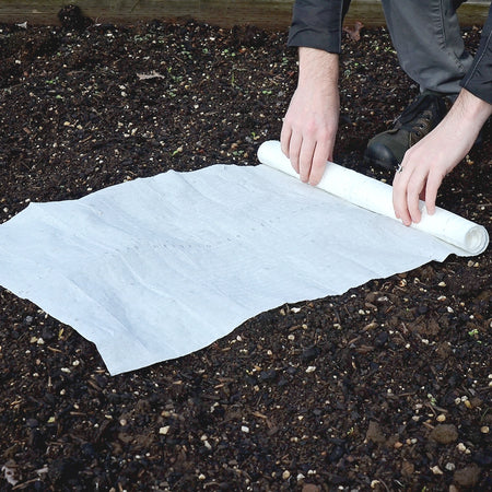 Beneficial Bug Seed Mat Mix Seed Mat | Territorial Seed