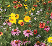 BEE FEED SEED MAT-MIX