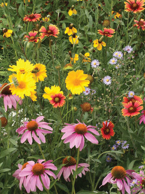 BEE FEED SEED MAT-MIX