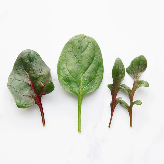 SUPERCHARGED SPINACH BLEND-SPINACH