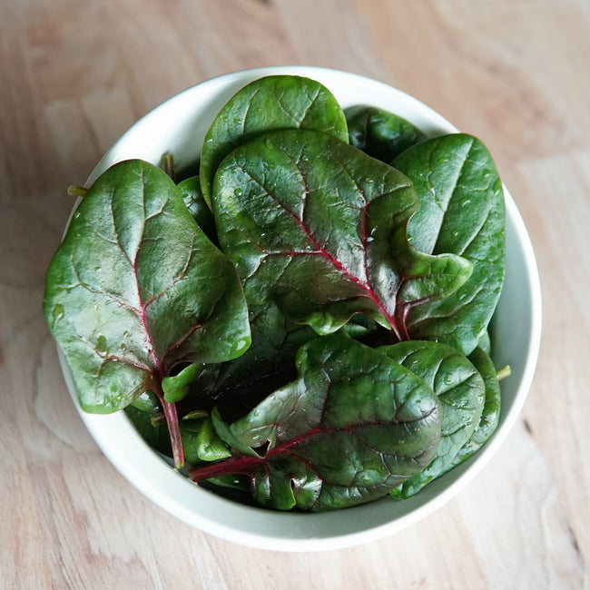 RED TABBY-SPINACH