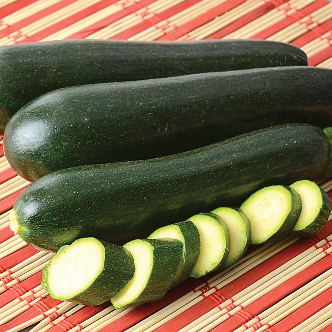 DESERT-SQUASH SUMMER