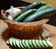 renee's garden astia container zucchini seeds Astia Zucchini Seed 7 grams