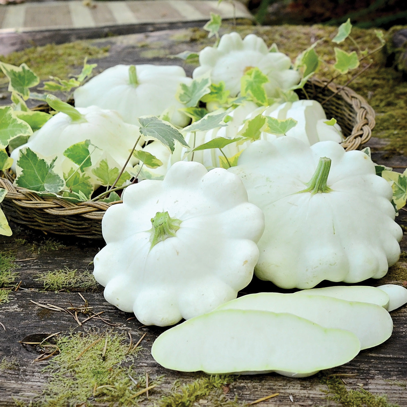 Benning's Green Tint Summer Squash - Thumbnail 2