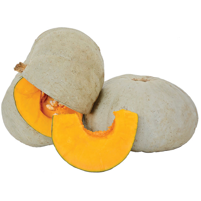 SWEET MEAT-SQUASH WINTER