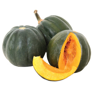 HONEY BEAR-SQUASH WINTER