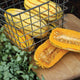 DELICATA-SQUASH WINTER