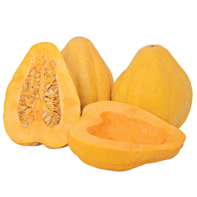 THELMA SANDERS' SWEET POTATO-SQUASH WINTER