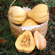 THELMA SANDERS' SWEET POTATO-SQUASH WINTER