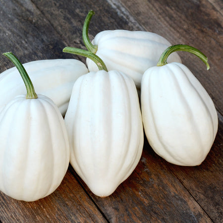 Mashed Potato Squash