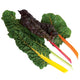 COLOUR MIX SWISS CHARD