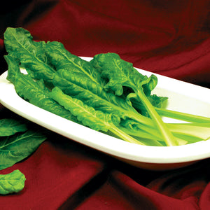 PERPETUAL-SWISS CHARD
