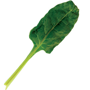 PERPETUAL-SWISS CHARD