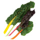 BRIGHT LIGHTS-SWISS CHARD