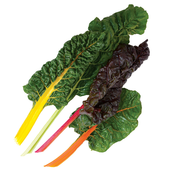BRIGHT LIGHTS-SWISS CHARD