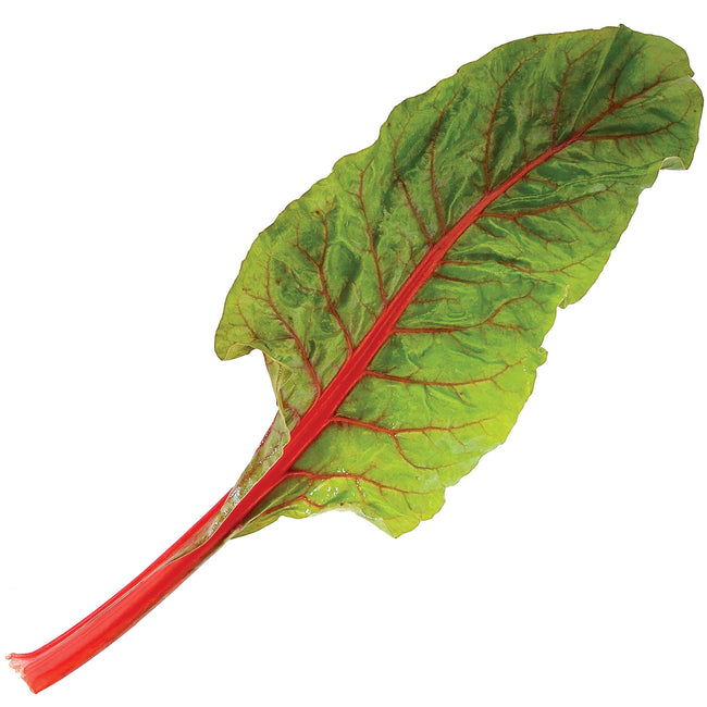 RHUBARB-SWISS CHARD