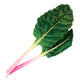 PEPPERMINT-SWISS CHARD