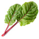 FIRE FRESH-SWISS CHARD