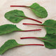 FIRE FRESH-SWISS CHARD