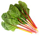 FIVE COLOR SILVERBEET-SWISS CHARD