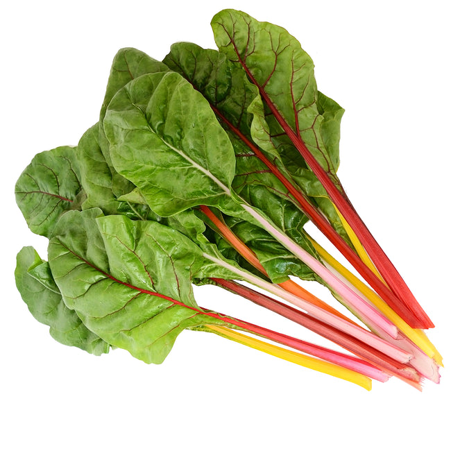 FIVE COLOR SILVERBEET-SWISS CHARD