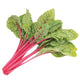 INTENSE SWISS CHARD