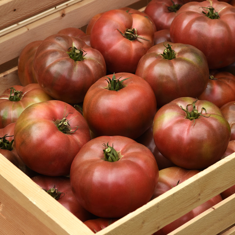 Darkstar Tomato - Thumbnail 2