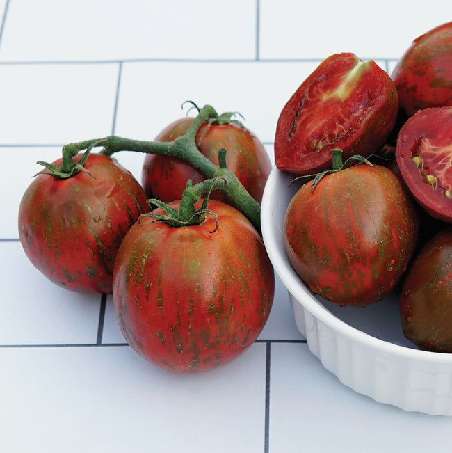 PURPLE ZEBRA-TOMATO