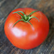 GALAHAD-TOMATO