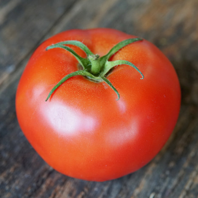 GALAHAD-TOMATO
