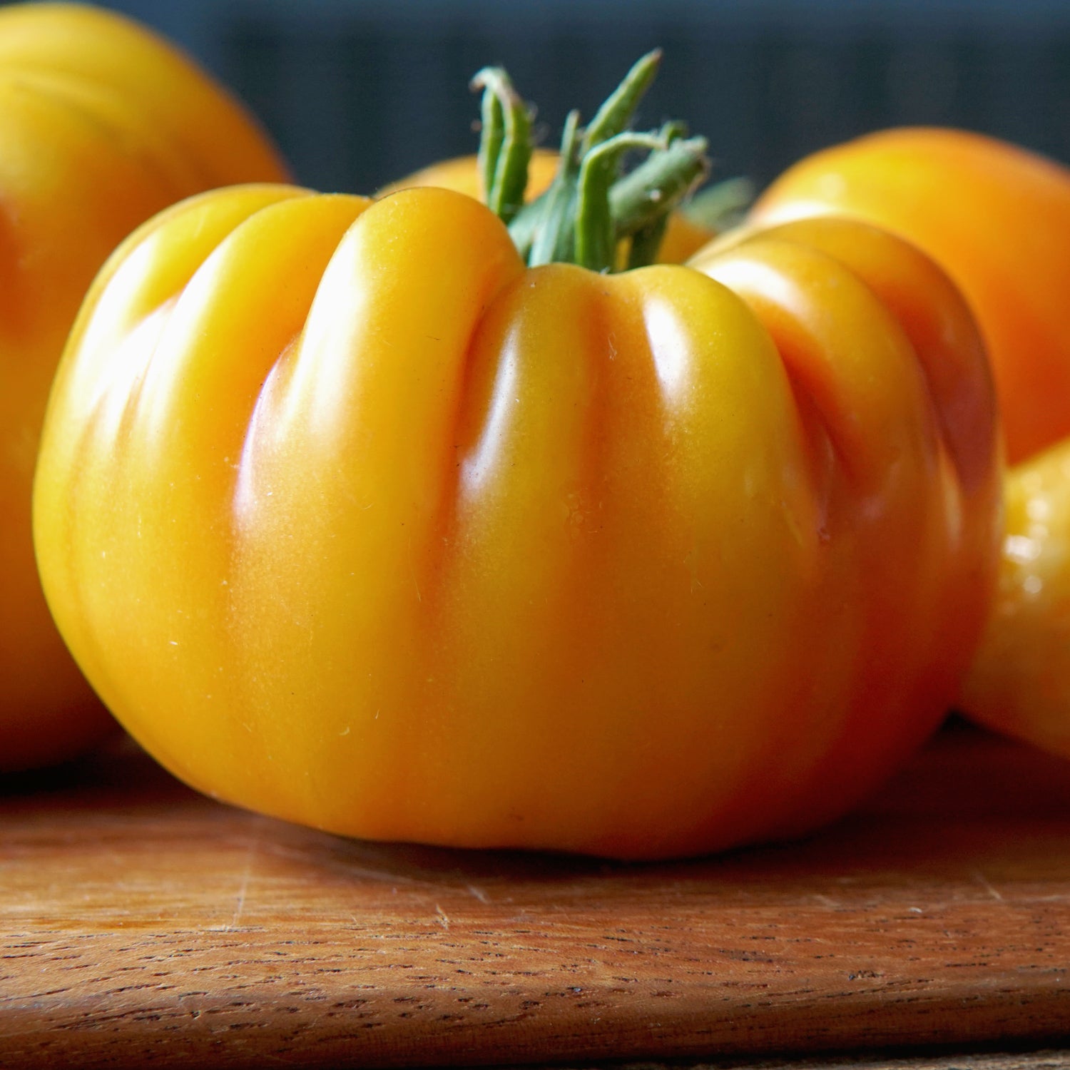 Territorial Seed Company Buffalosun Tomato