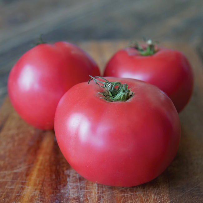 DAMSEL-TOMATO