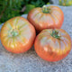 HEIRLOOM MARRIAGE™ CHEROKEE CARBON-TOMATO