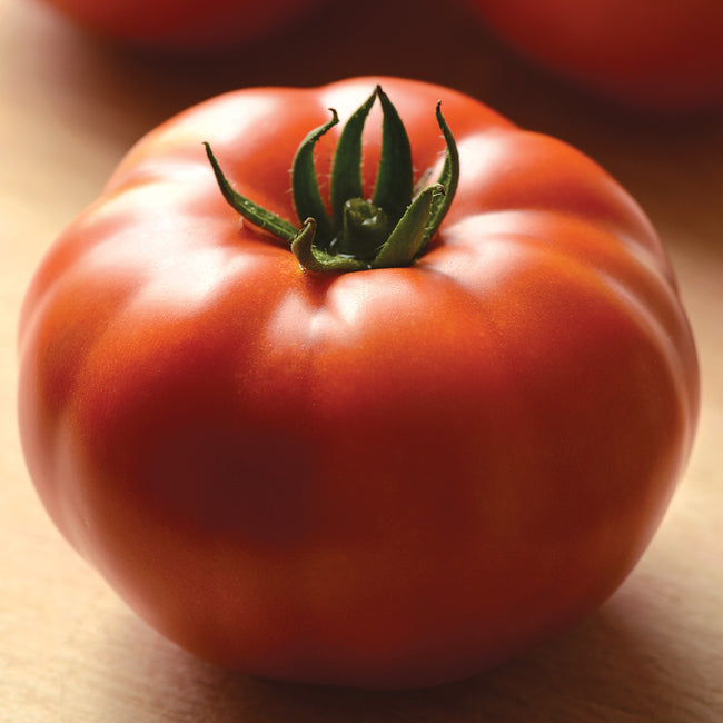 HEIRLOOM MARRIAGE™ GENUWINE-TOMATO