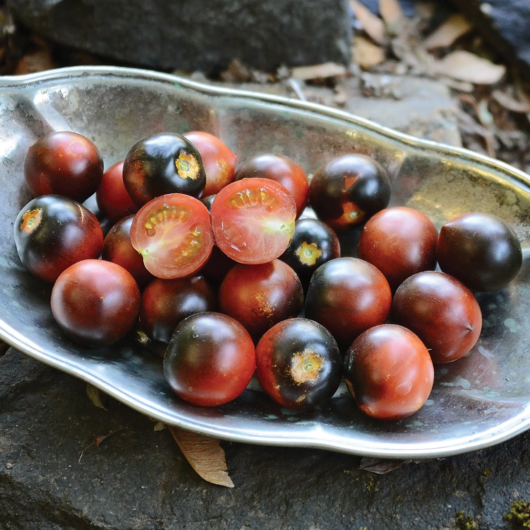 50 Purple Cherry Tomato Seeds - Lycopersicon Indeterminate Variety For Home Gardening