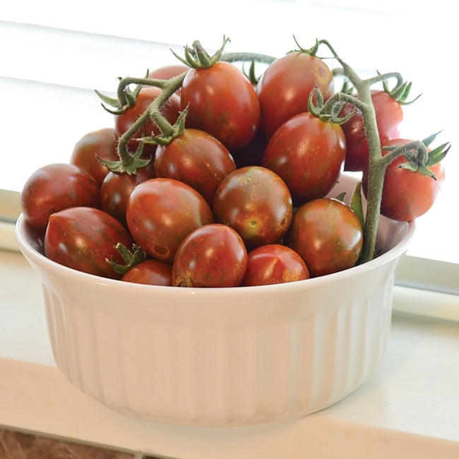 CHOCOLATE SPRINKLES-TOMATO