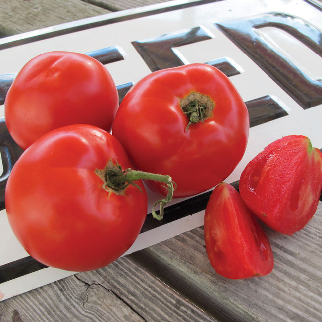 TASTI-LEE®-TOMATO