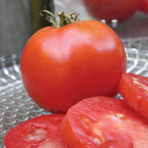 GILL'S ALL-PURPOSE-TOMATO