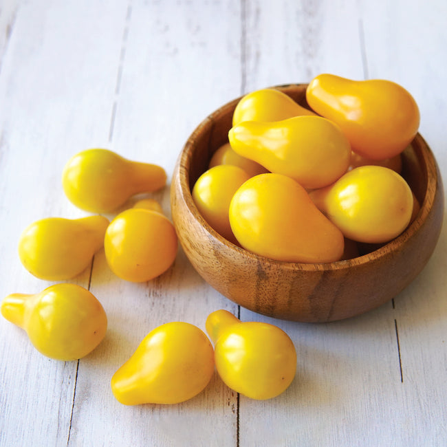 YELLOW PEAR-TOMATO