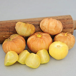 MEXICAN STRAIN-TOMATILLO