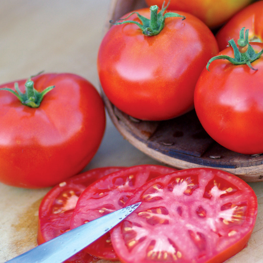 Burbank Slicing- Organic Tomato Seeds