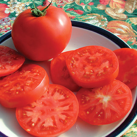 late blight tomato fruit