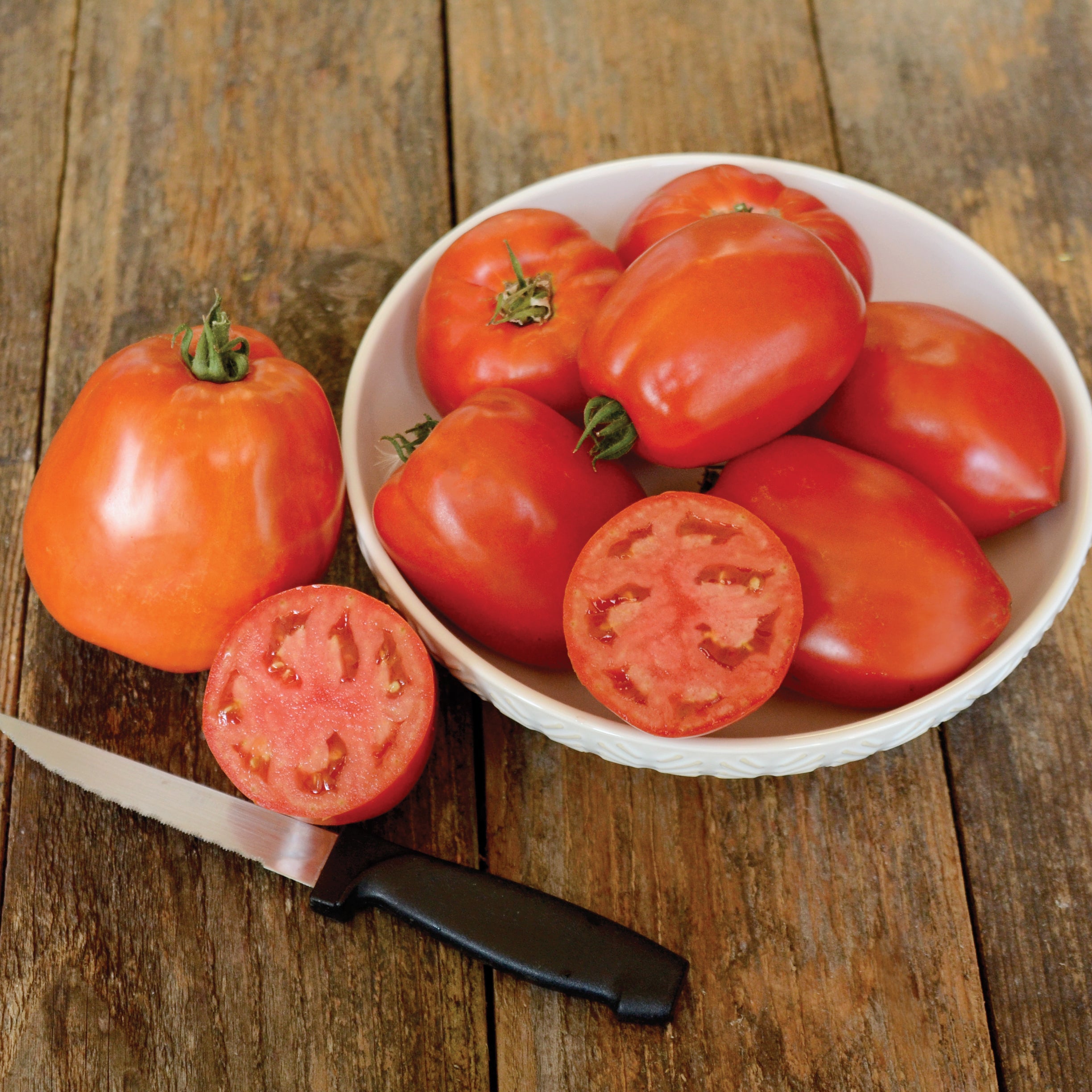 Jet Star Tomato Plant