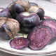 PURPLE TOMATILLO-TOMATILLO