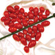 SWEET HEARTS-TOMATO
