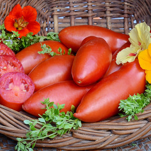 Front view of Pozzano paste tomatoes showing oblong, meaty orange-red fruits with a sliced tomato on a rustic surface