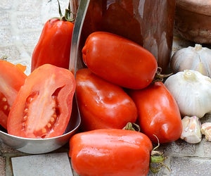 SAN MARZANO-TOMATO